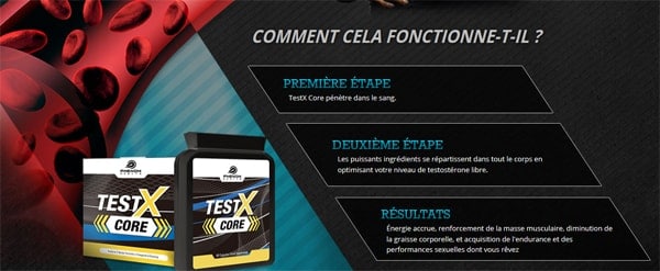testx core fonctionne