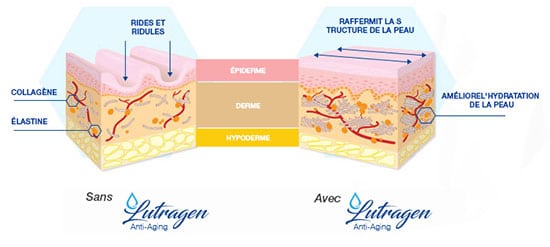 Un autre bénéfice de cette formule est de réduire le stress